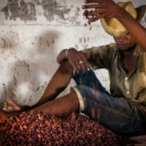 MADAGASCAR - LABOUR - AGRICULTURE - COCOA